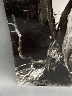 Photographie argentique Bernard Darot Les Vaincus XXe AFIAP