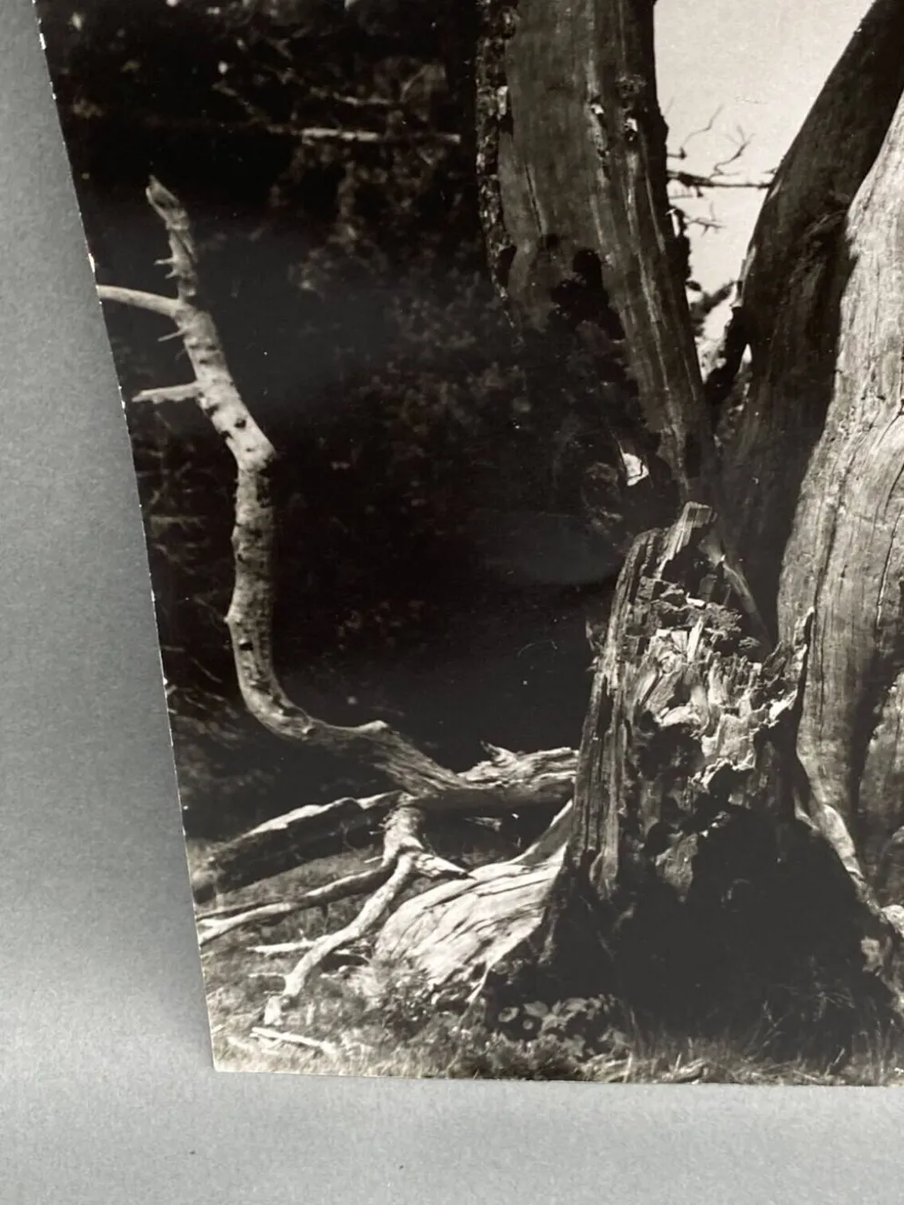 Photographie argentique Bernard Darot Les Vaincus XXe AFIAP