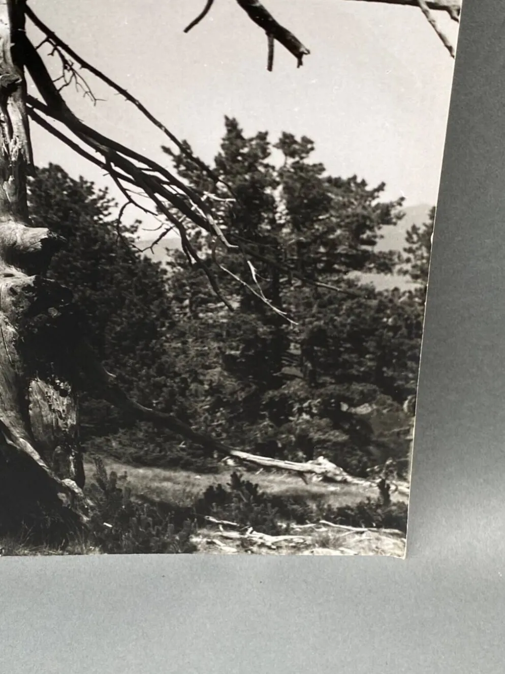 Photographie argentique Bernard Darot Les Vaincus XXe AFIAP