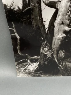 Photographie argentique Bernard Darot Les Vaincus XXe AFIAP