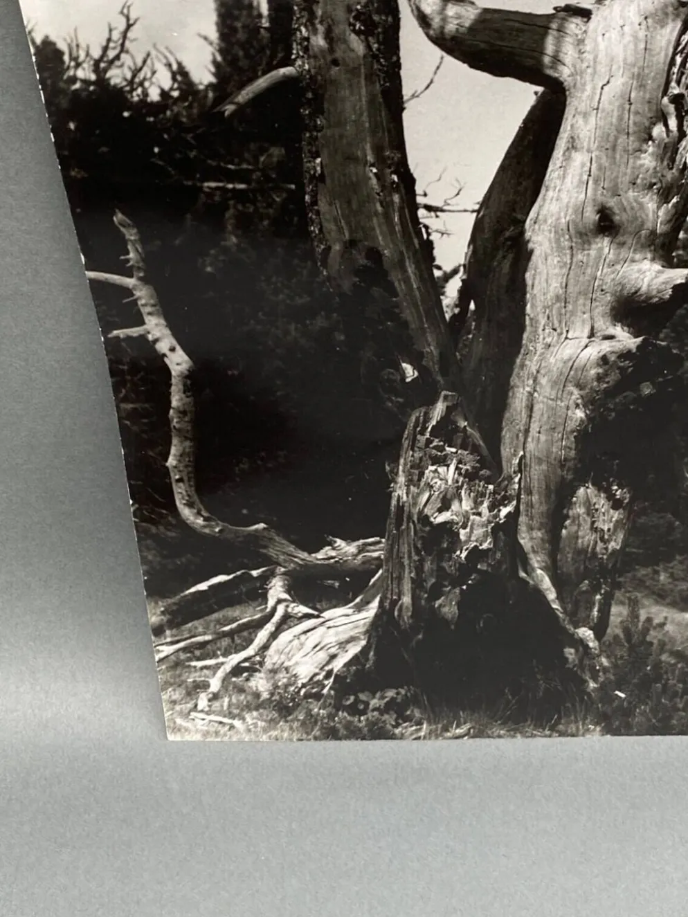 Photographie argentique Bernard Darot Les Vaincus XXe AFIAP