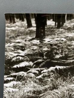 Photographie argentique Bernard Darot Fougères XXe
