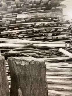 Photographie argentique d'artiste