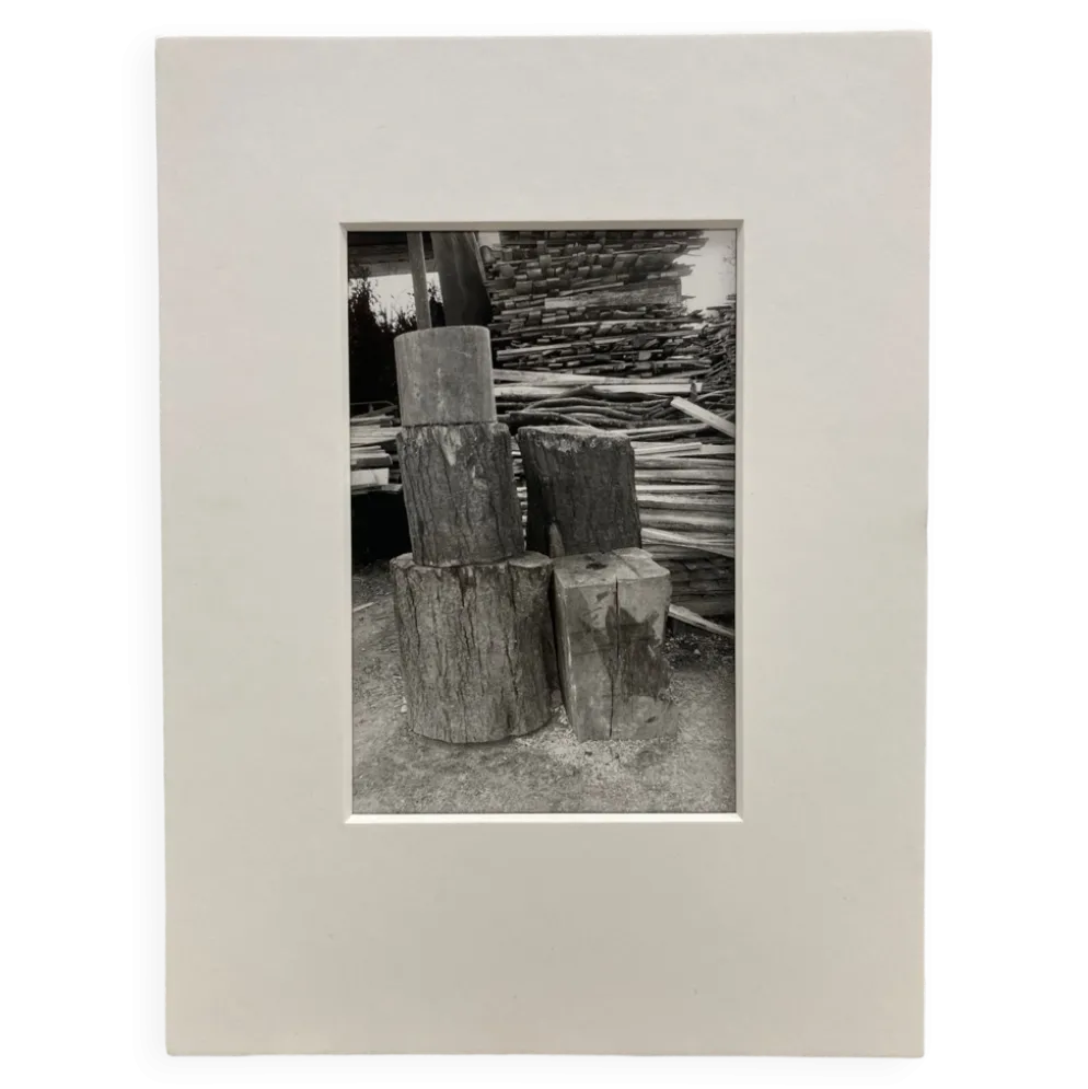 Photographie argentique d'artiste