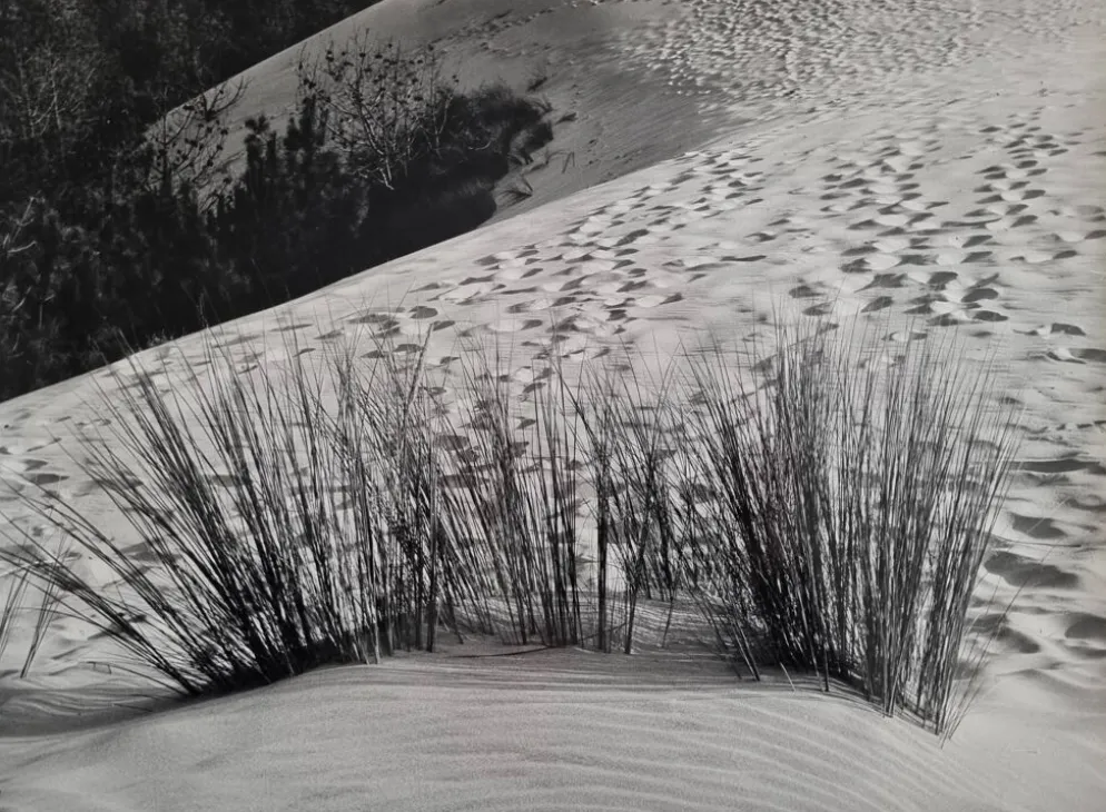 Photographie argentique vintage “La Dune” années 70 encadrée 52x42 cm