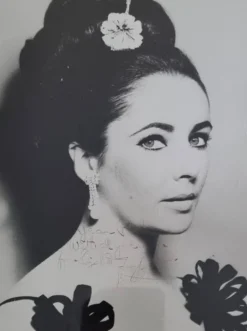 Photographie dédicacée Elizabeth Taylor tirage argentique encadré 32x37 cm
