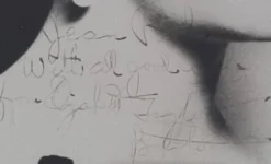 Photographie dédicacée Elizabeth Taylor tirage argentique encadré 32x37 cm