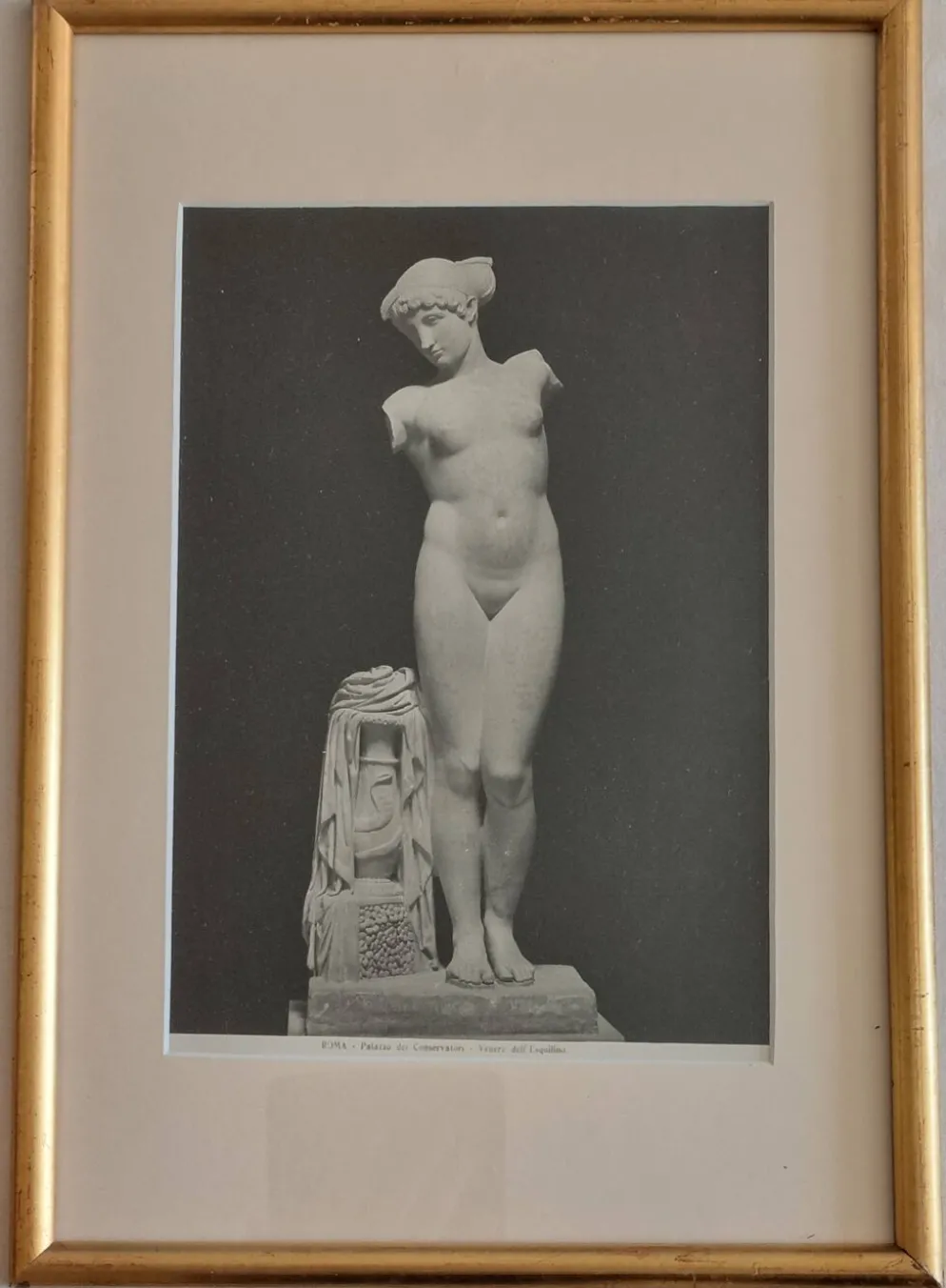 Photographie de la Vénus de l'Esquilin Palazzo dei Conservatori 27x39 cm