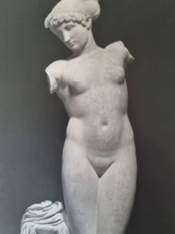 Photographie de la Vénus de l'Esquilin Palazzo dei Conservatori 27x39 cm