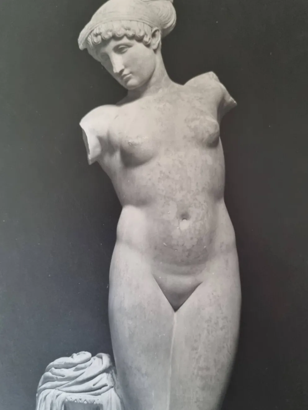 Photographie de la Vénus de l'Esquilin Palazzo dei Conservatori 27x39 cm