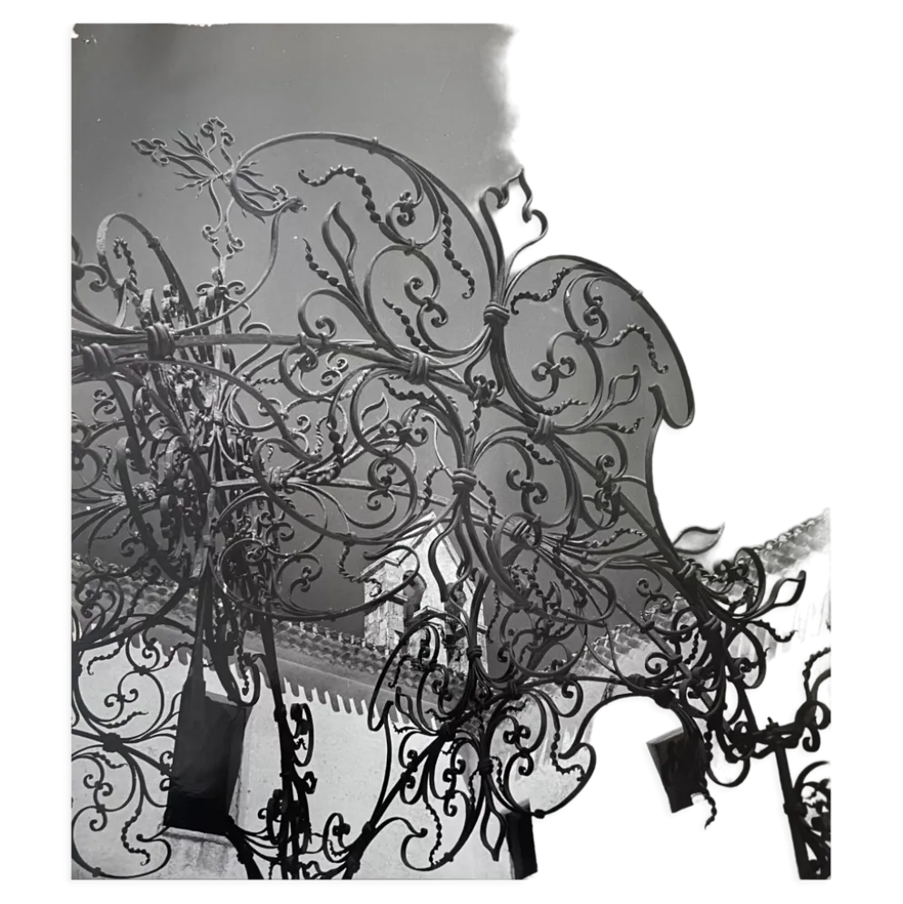Photographie noir et blanc argentique début XXe