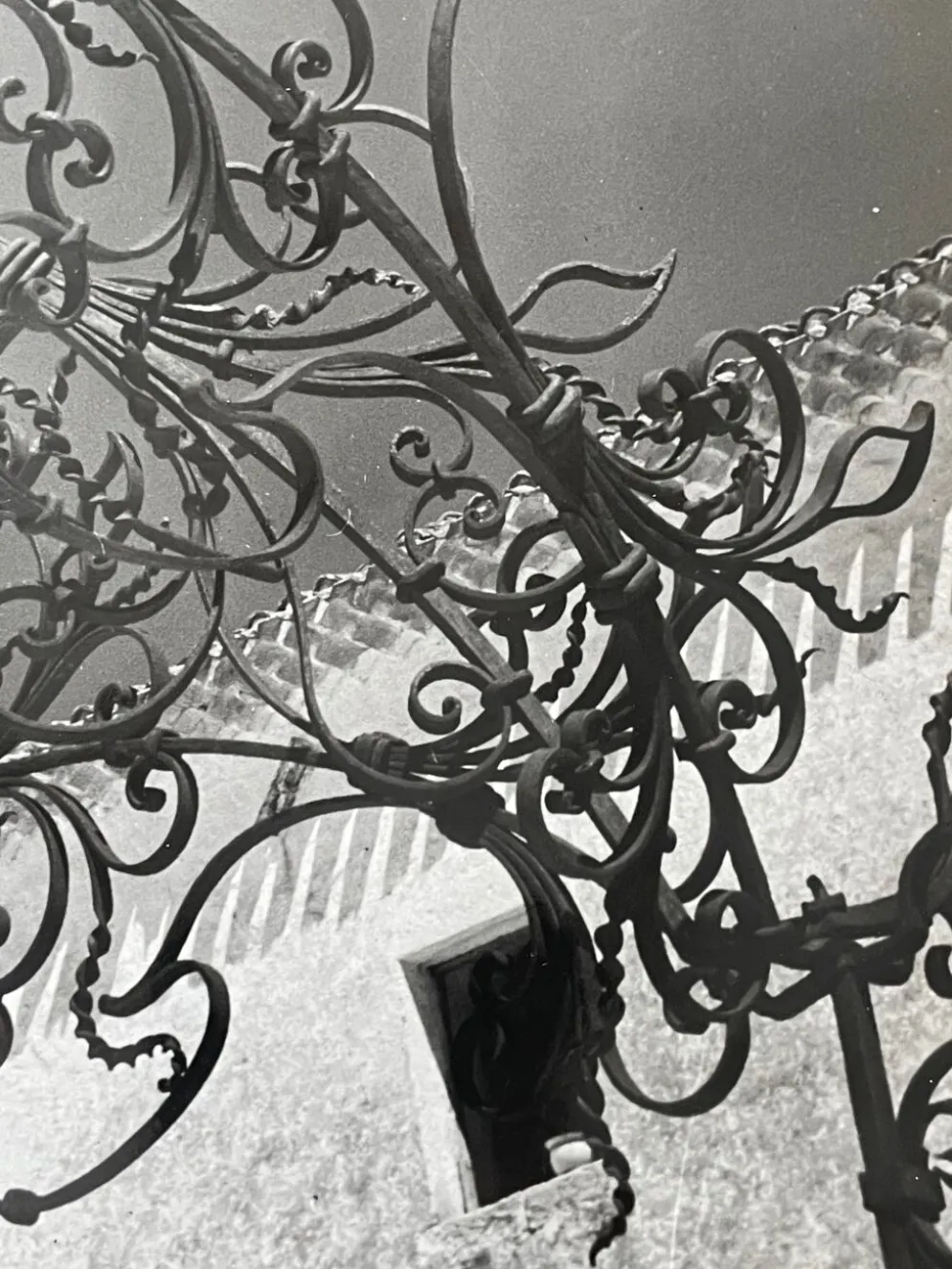 Photographie noir et blanc argentique début XXe