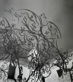 Photographie noir et blanc argentique début XXe