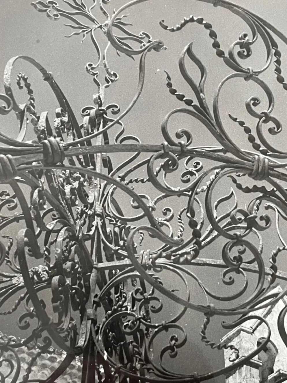 Photographie noir et blanc argentique début XXe
