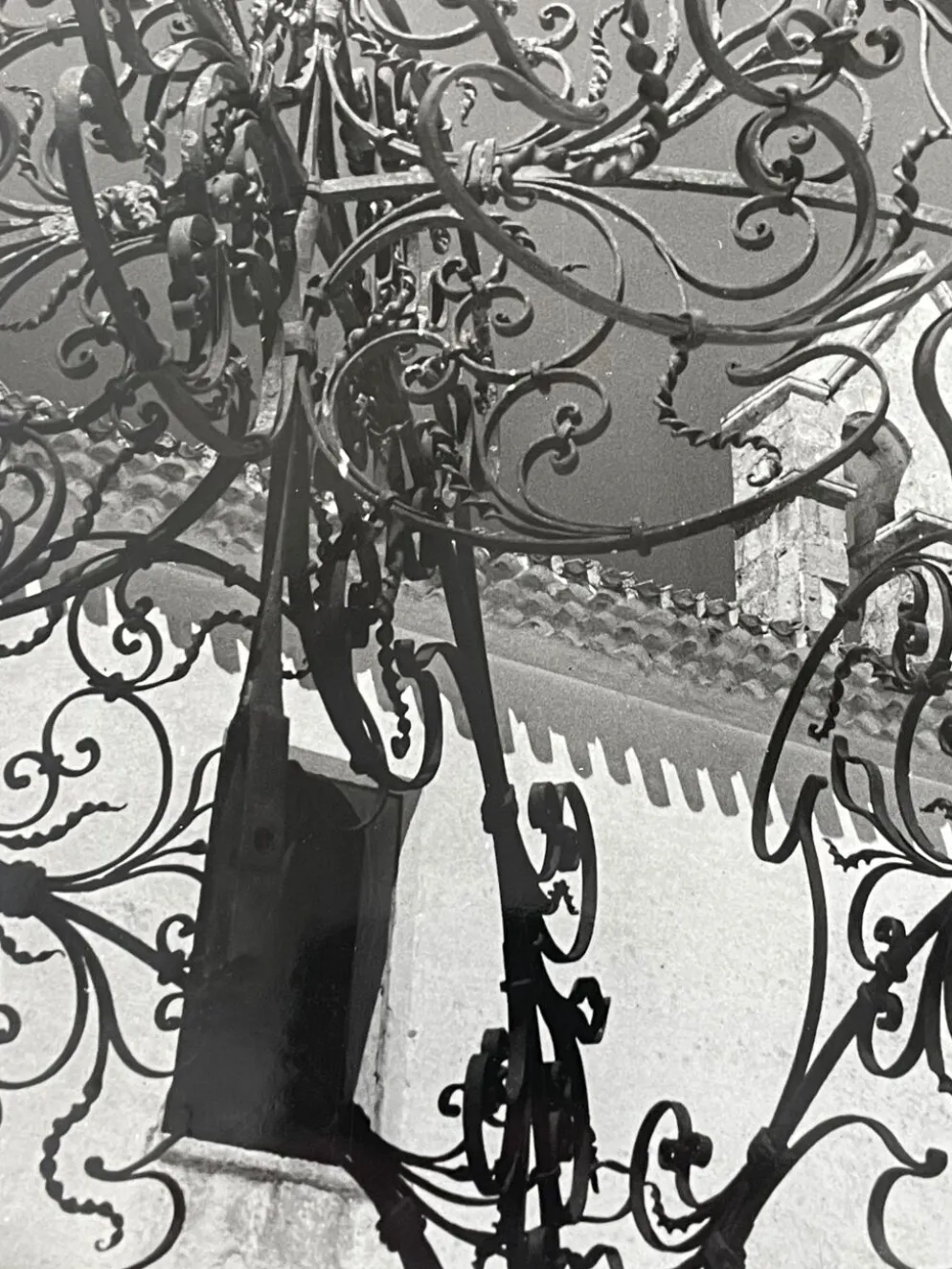 Photographie noir et blanc argentique début XXe