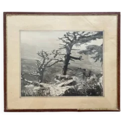 Photographie tirage argentique collection 1950