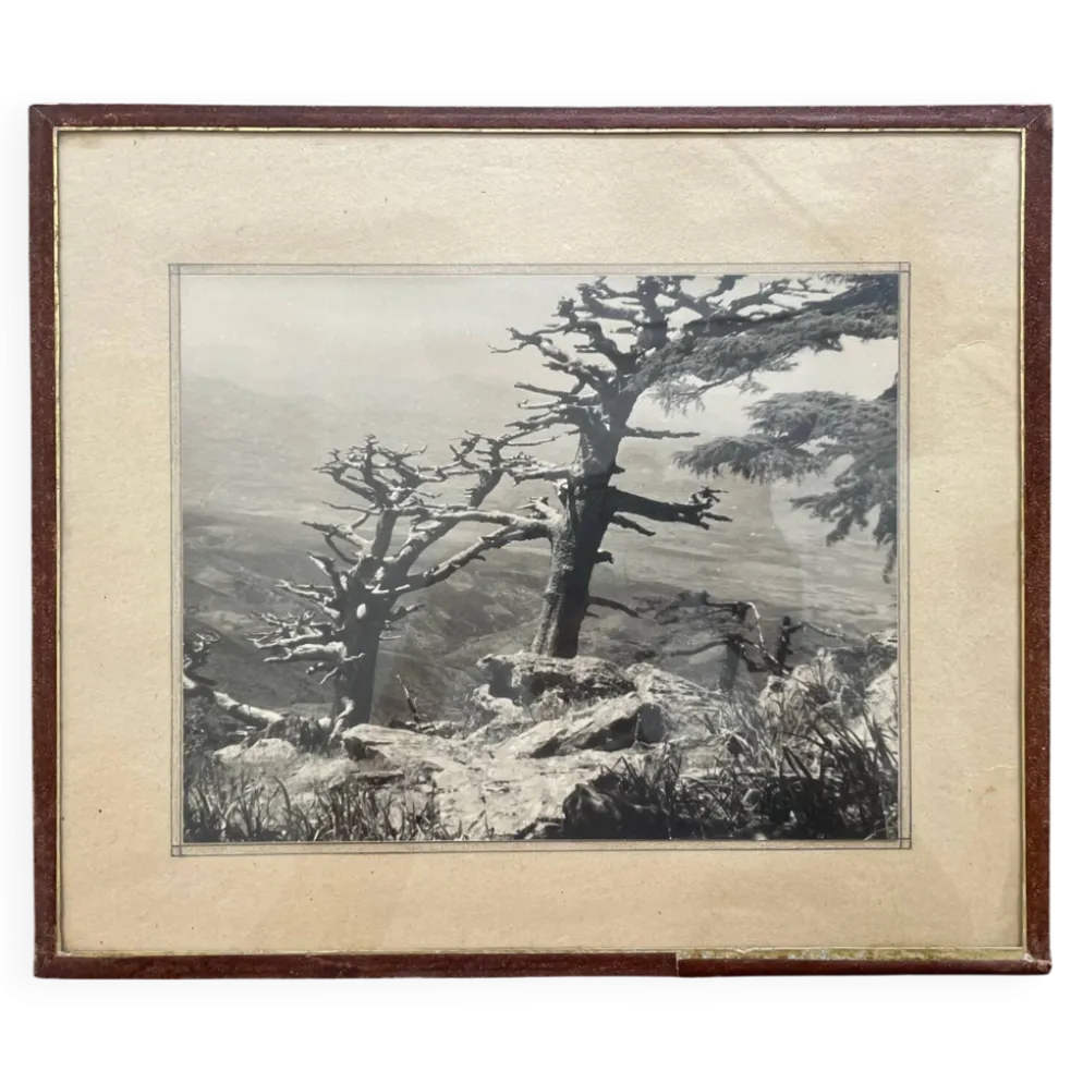 Photographie tirage argentique collection 1950