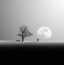 Photo nature