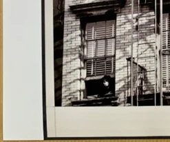 Photo New York 1953 – Escaliers de secours & femme à la fenêtre