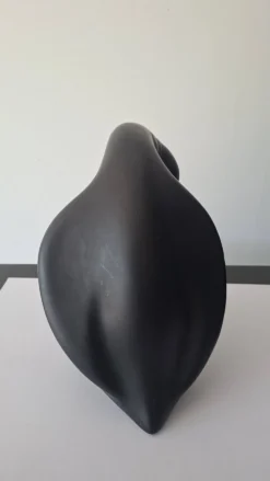 Pingouin En Céramique Noir Vallauris André Baud
