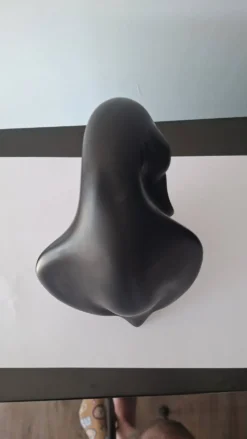 Pingouin En Céramique Noir Vallauris André Baud