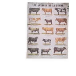 Planche pédagogique