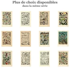 Planche Zoologique ancienne de 1923 - Insectes par A. Millot - Gravure