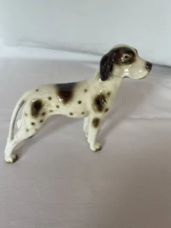 Pointer Anglais