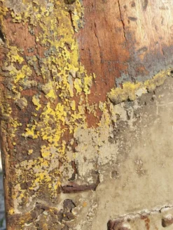Porte de cave, grange ou grenier avec traverses traditionnelles en sifflet - début XXème
