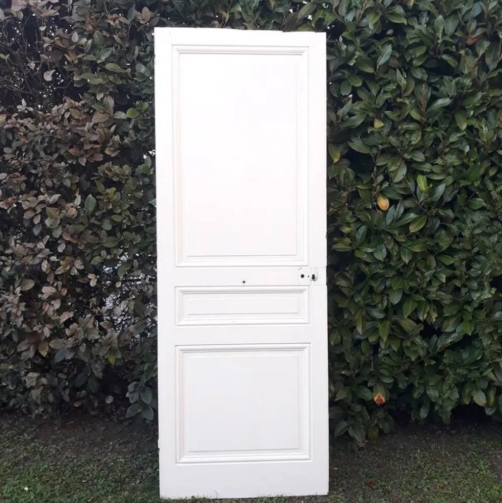 Porte de communication ancienne panneautée et moulurée