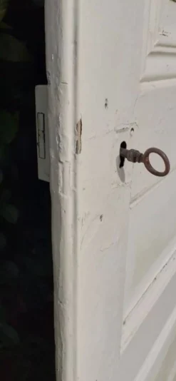 Porte de placard h221xl89,5cm ancienne panneautée, moulurée