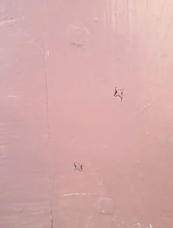 Porte palière 210,3x85,6cm ancienne moulurée