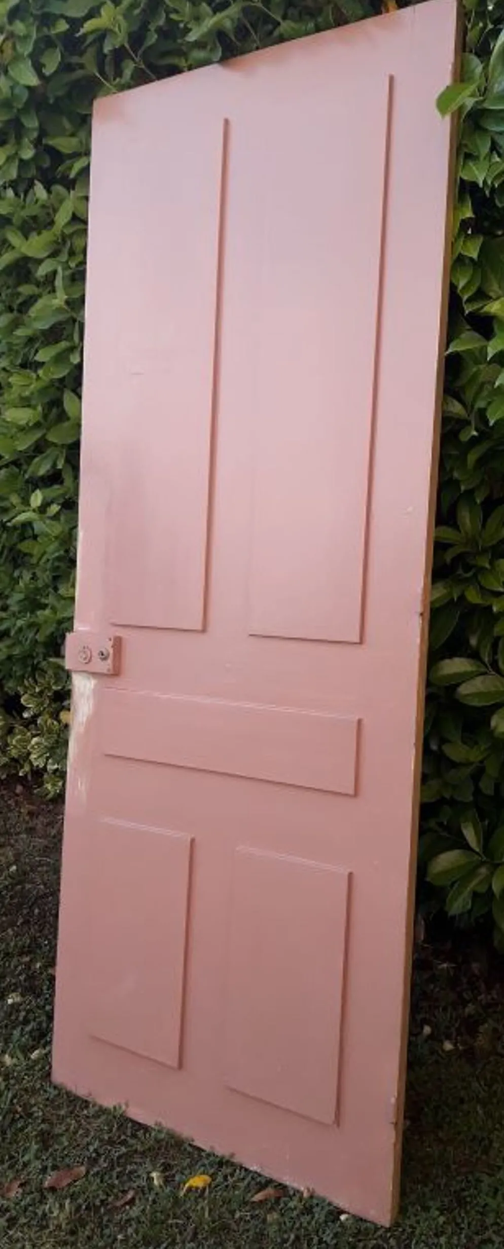 Porte palière 210,3x85,6cm ancienne moulurée