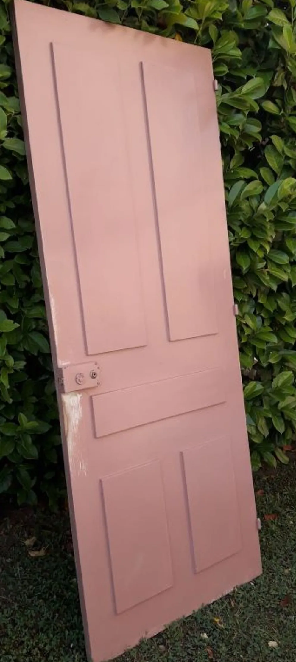 Porte palière 210,3x85,6cm ancienne moulurée