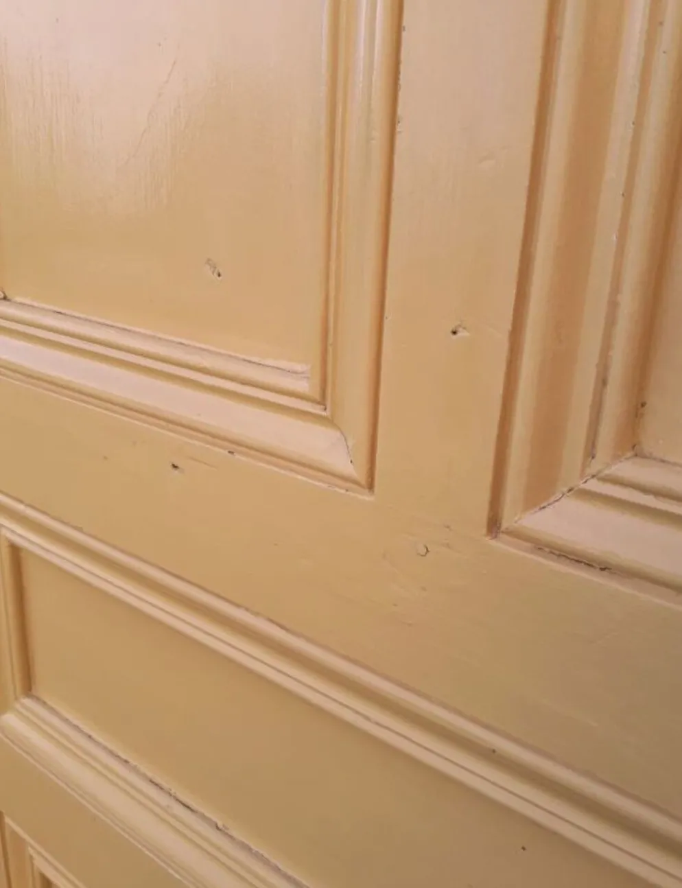 Porte palière 210,3x85,6cm ancienne moulurée