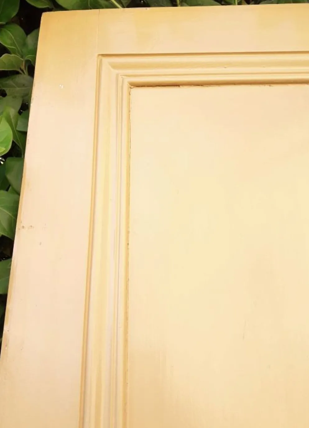 Porte palière 210,3x85,6cm ancienne moulurée