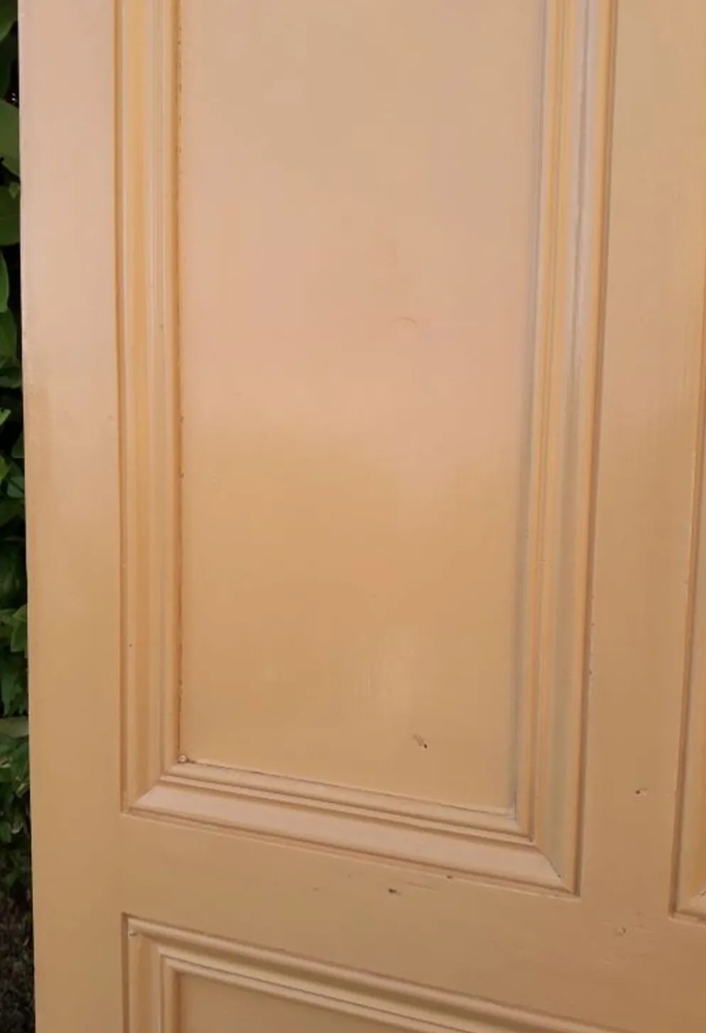 Porte palière 210,3x85,6cm ancienne moulurée