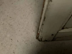 Porte vitrée ancienne L 92 x H 205