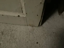Porte vitrée ancienne L 92 x H 205