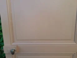 Porte 199x82,8cm ancienne moulurée