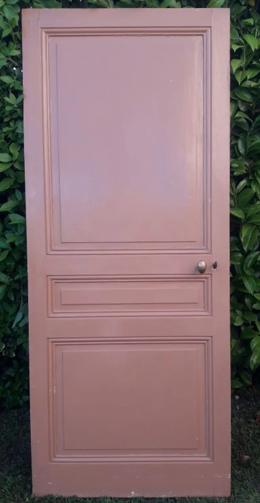 Porte 199x82,8cm ancienne moulurée