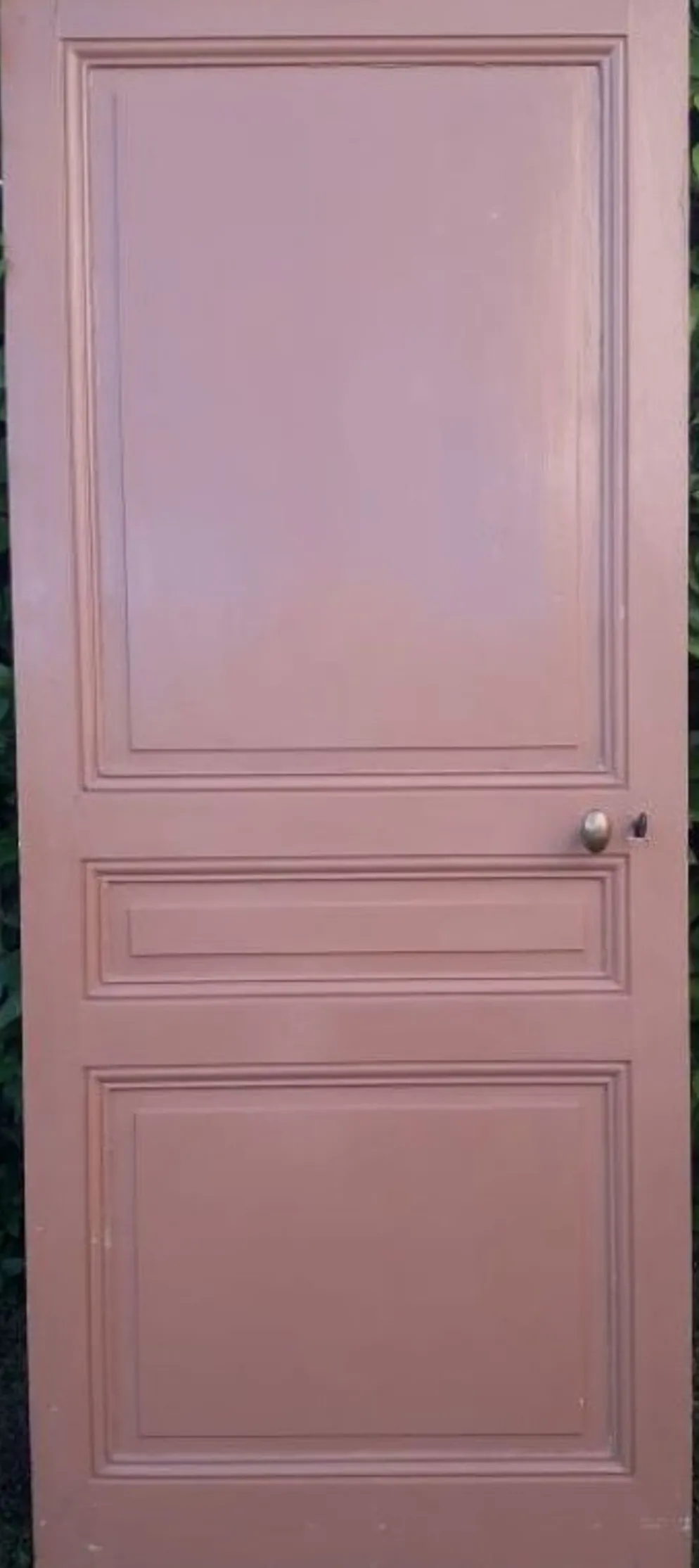 Porte 199x82,8cm ancienne moulurée