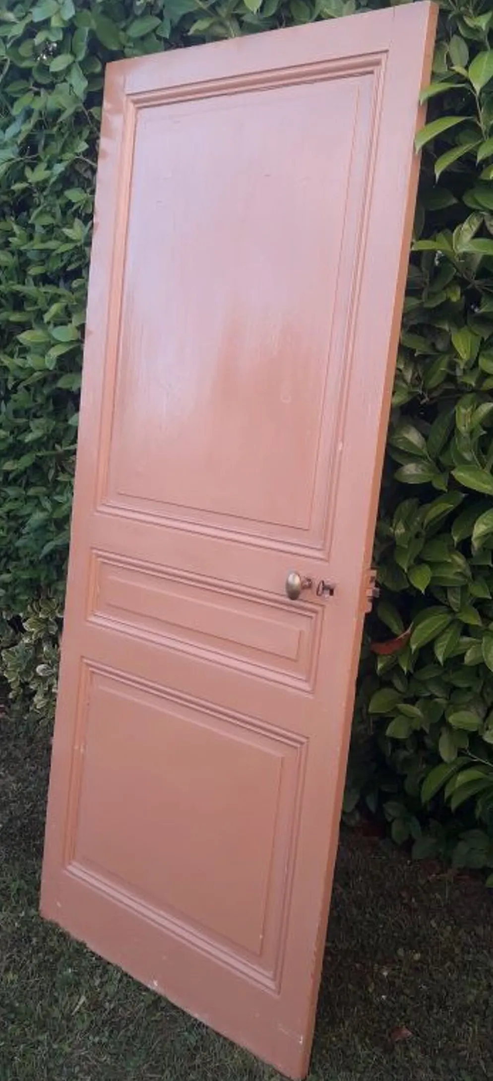 Porte 199x82,8cm ancienne moulurée