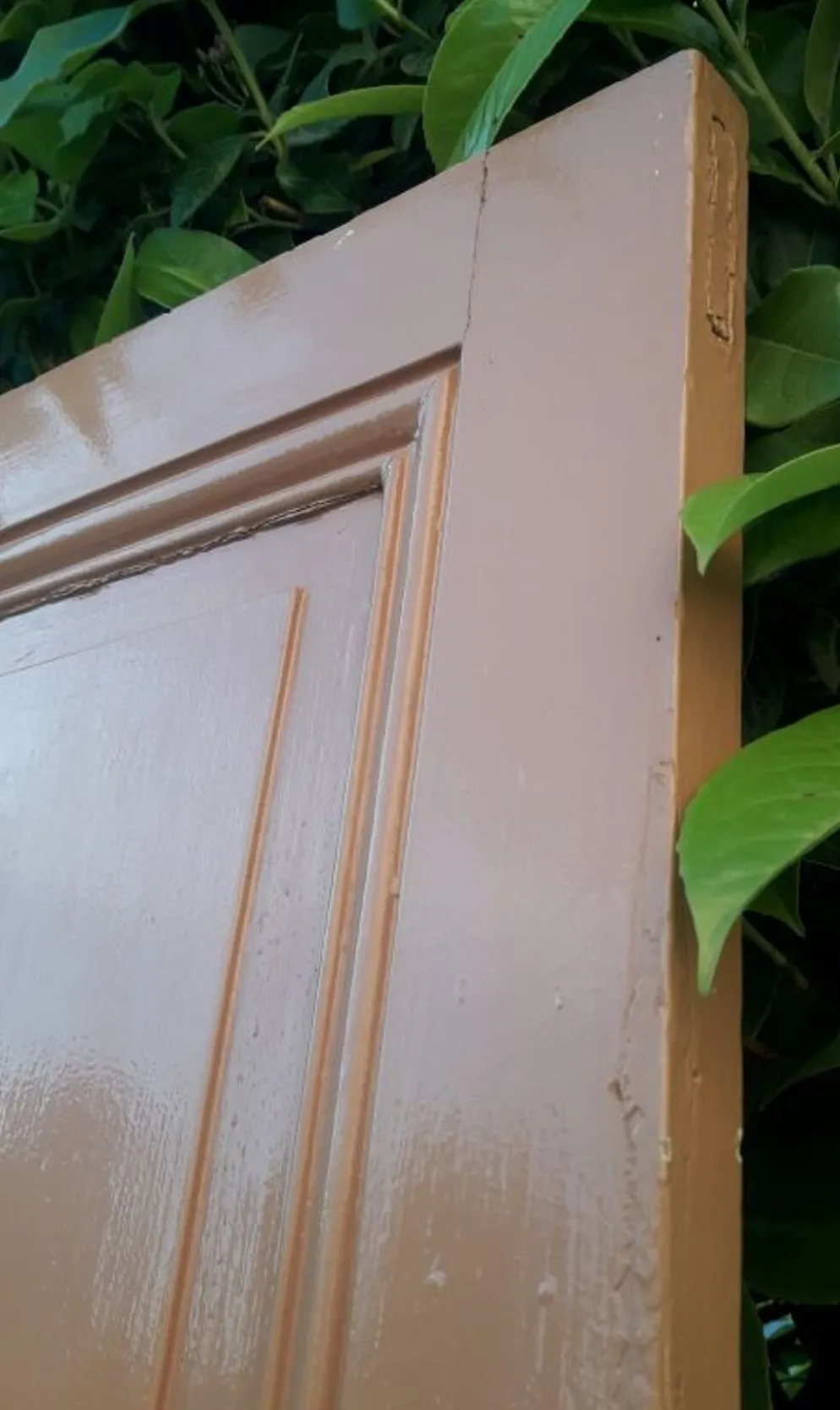 Porte 199x82,8cm ancienne moulurée