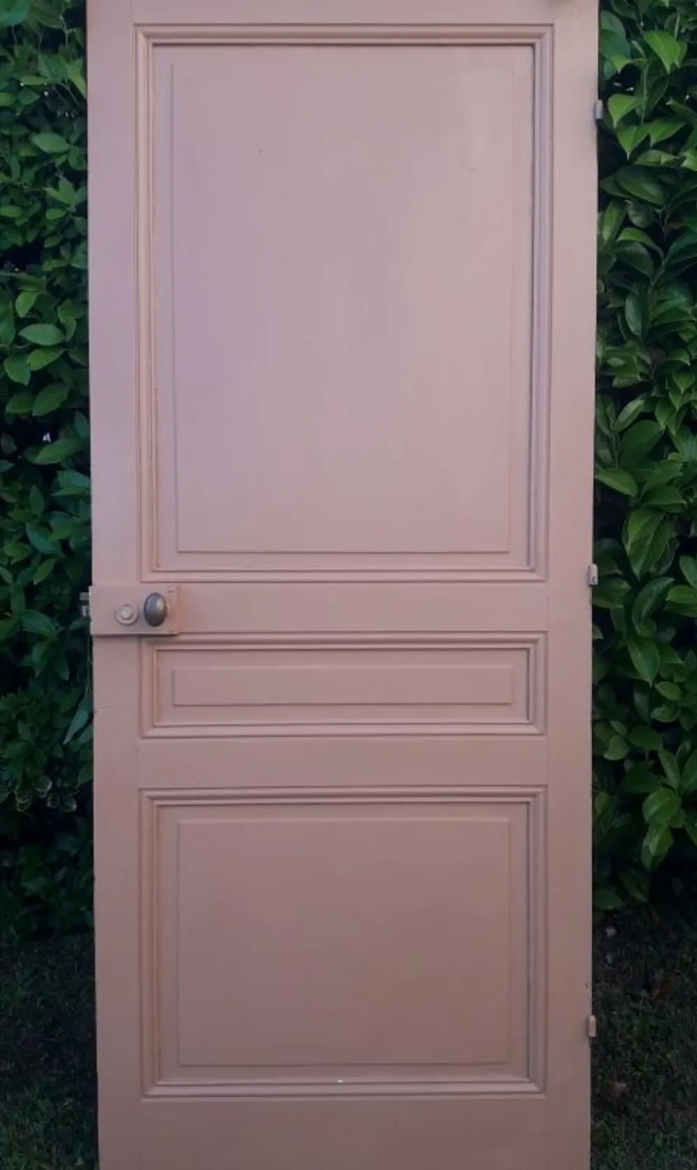 Porte 199x82,8cm ancienne moulurée