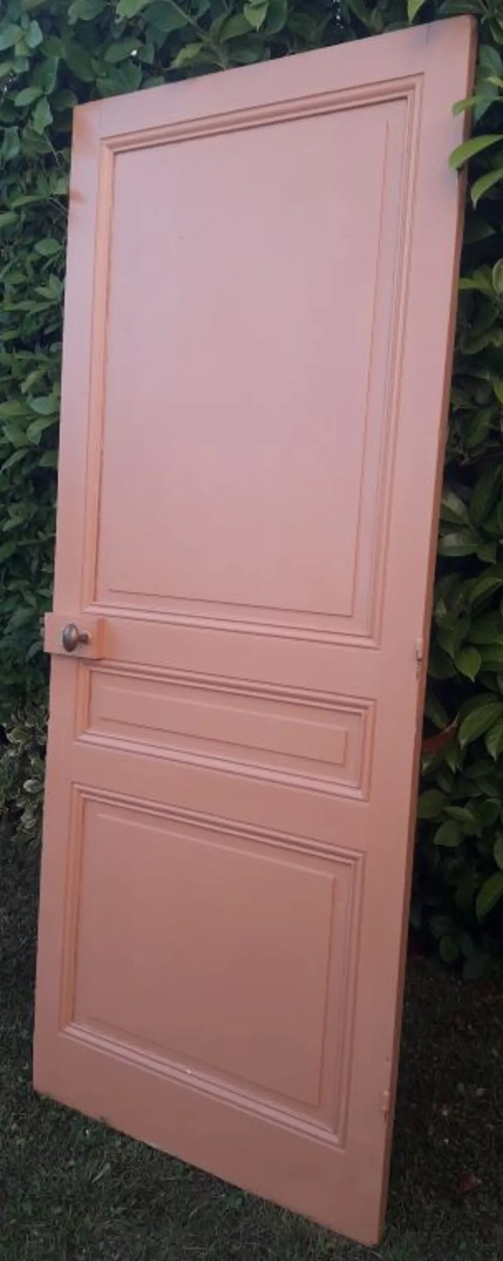 Porte 199x82,8cm ancienne moulurée