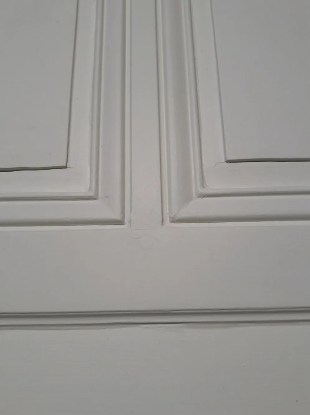 Porte 207x99,5cm de communication verso panneauté mouluré