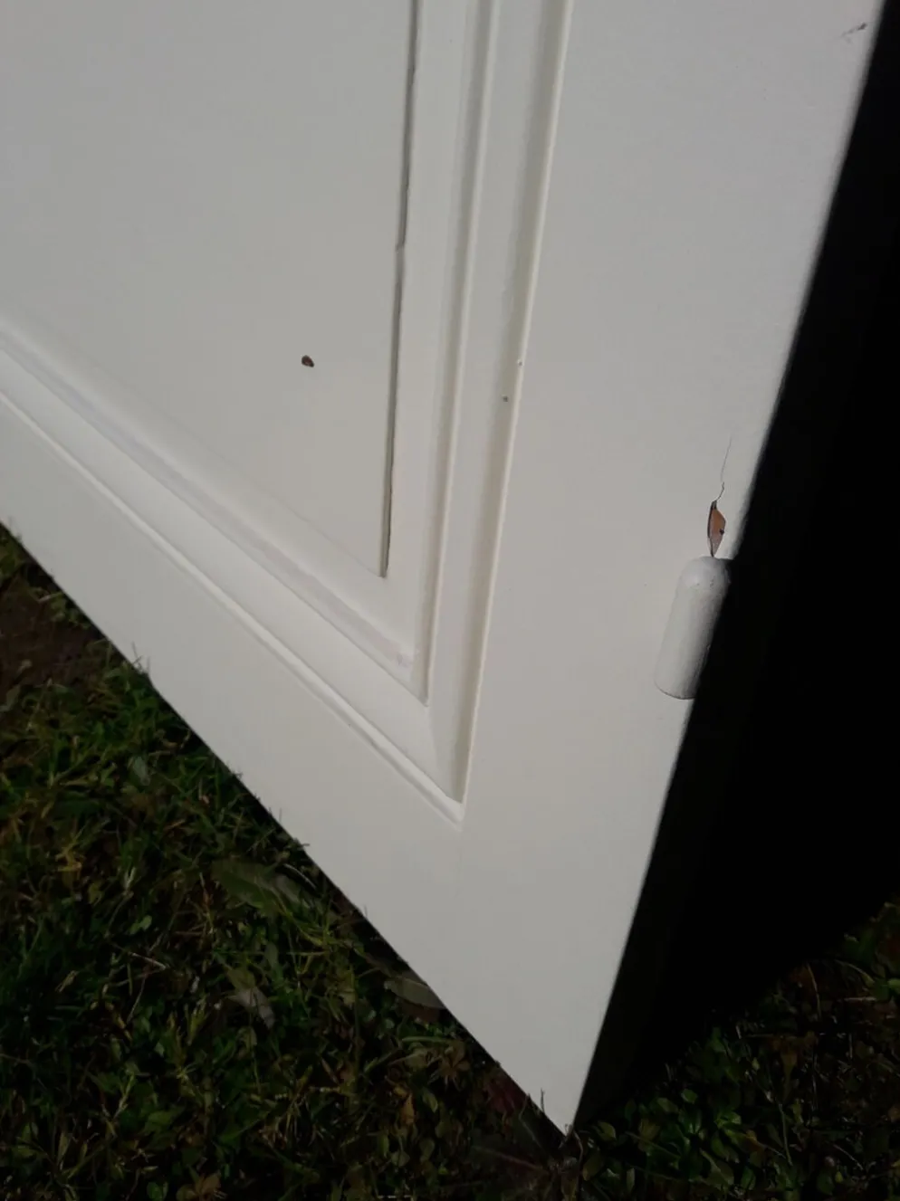 Porte 207x99,5cm de communication verso panneauté mouluré