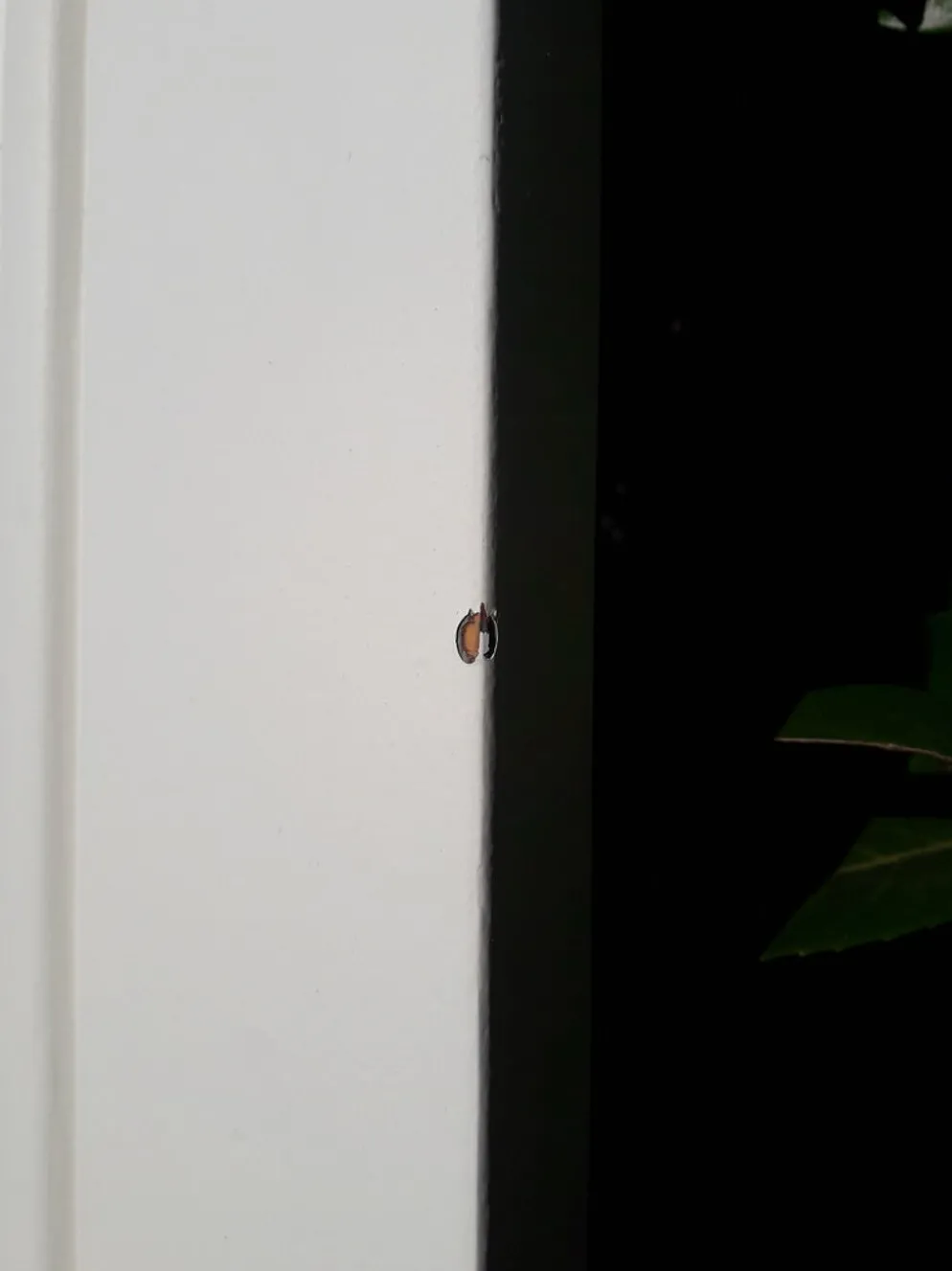 Porte 207x99,5cm de communication verso panneauté mouluré