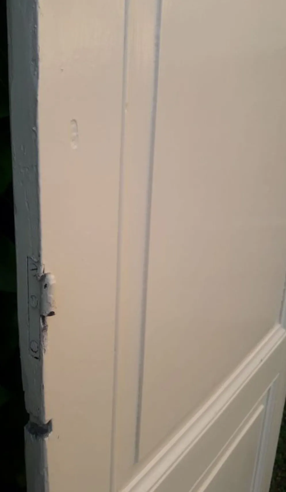 Porte 229,2x79,2cm de placard ancienne